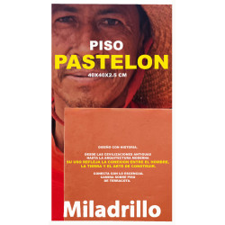 LADRILLO PISO PASTELON  40X40X2.5 CM